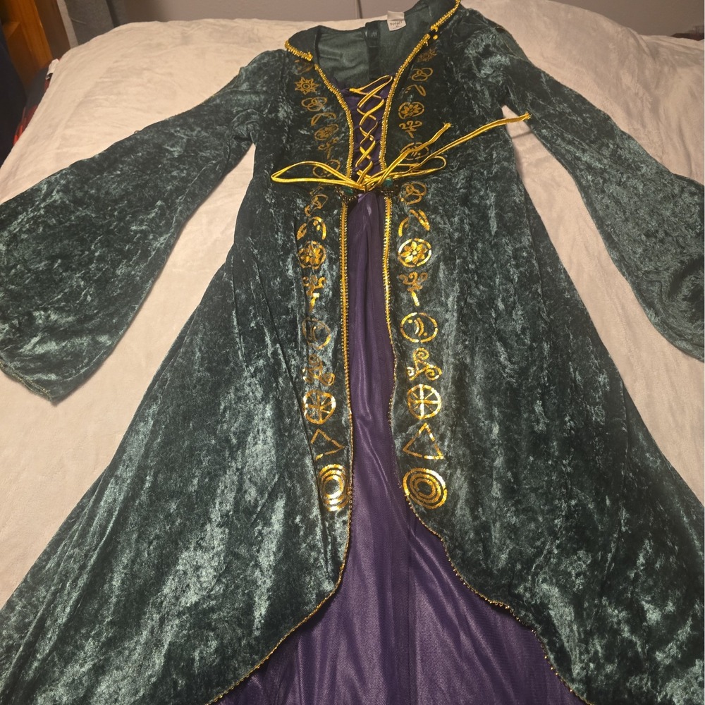 Disney Hocus Pocus Winifred Sanderson Costume Green Velvet Dress Plus XL Spirit